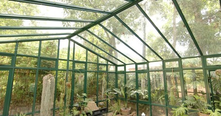 Filling greenhouse interior with green metal frame and potted plants, black bench holding bricks