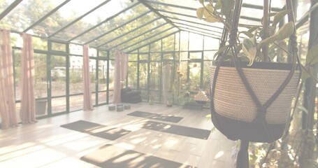 Swinging woven hanging planter holding trailing foliage in glass studio, with yoga mats, copy space