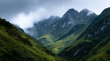 Obraz premium Photograph of lush valley surrounded by towering mountains.