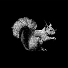 Fox Squirrel, showcasing its fluffy tail, alert posture, and textured fur. The intricate linework highlights the squirrel’s natural charm and woodland character.