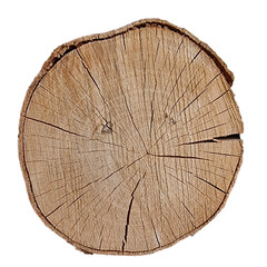 log wood cut background isolated