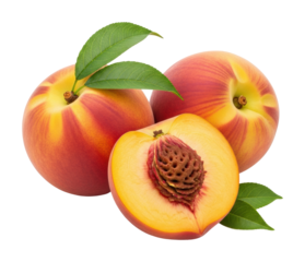 Juicy peaches ready for harvest orchard food nature isolated on transparent background