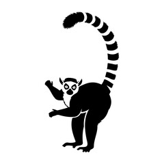 Silhouette illustration of a lemur with a long striped tail standing up © sumit