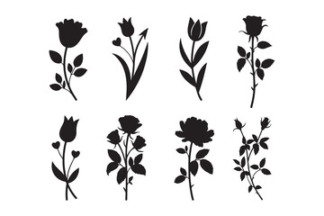 a collection of delicate floral arrangements displayed in a striking black and white silhouette high quality