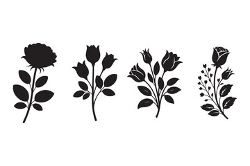 a collection of four different roses in varying stages of bloom shown as a dark striking silhouette