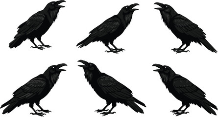 Black Raven Silhouettes in Varied Poses, Realistic Feather Detail, Side Profiles, Ornithology Reference, Halloween Theme, Bird Behavior, Gothic Design, Motion