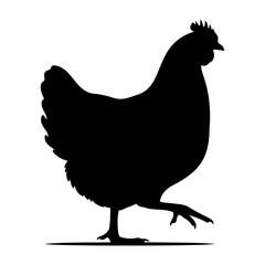 Silhouette of a chicken walking with one leg raised on a white background