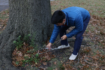 adult man examining tree plant in park horticulture expert stroll walk winter autumn blue puffy jacket puffer down coat garden gardening flora botanic botanical gaze bend pick up touch reach portrait