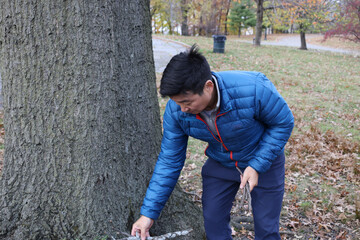 adult man examining tree plant in park horticulture expert stroll walk winter autumn blue puffy jacket puffer down coat garden gardening flora botanic botanical gaze bend pick up touch reach portrait