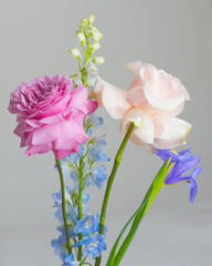 Bouquet flowers rose iris delphinium beautiful plant over gray background