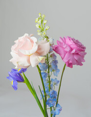 Bouquet flowers rose iris delphinium beautiful plant over gray background