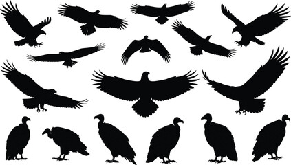 Collection of black silhouette eagles and vultures in various flight and standing poses