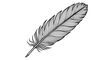 Detailed monochrome illustration of a single feather isolated on white background. © arby