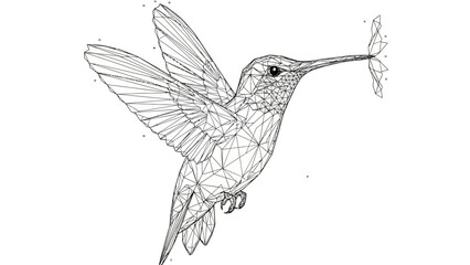 Hummingbird in flight detailed illustration with geometric lines and wings spread wide.