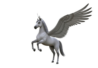 Obraz premium White pegasus rearing isolated on transparent background for fantasy and mythical design