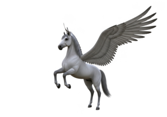 White pegasus rearing isolated on transparent background for fantasy and mythical design