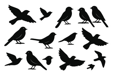 Collection of various black bird silhouettes in flight and standing poses