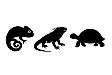 Black silhouettes of exotic reptiles including chameleon iguana and turtle