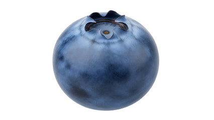 Single ripe blueberry isolated on black background