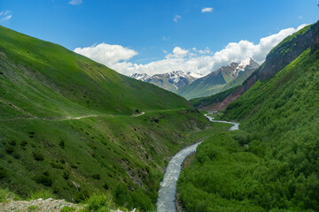 Winding river cutting through lush green valley beneath distant snowy peaks