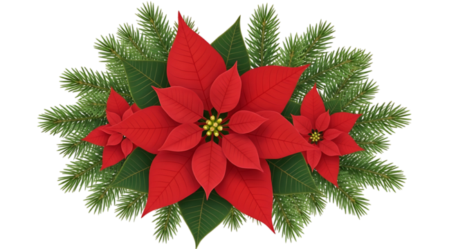 Red poinsettia flower surrounded by green fir branches