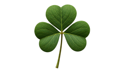 Single green shamrock leaf against black background