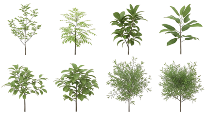 Collection of eight different green leafy plants