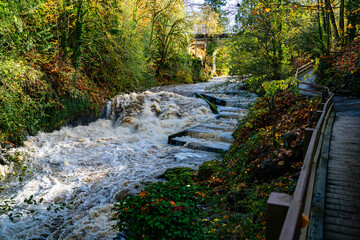 Deschutes Bridge And Boardwalk 2
