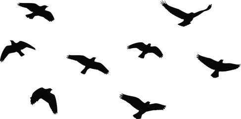 Flying Bird Silhouette Pack, black bird vectors, birds in flight, wings spread shapes, falcon style silhouettes, sky animals graphics, minimalist wildlife icons, high contrast avian design