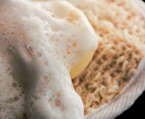 Bath soapy sponge on white background