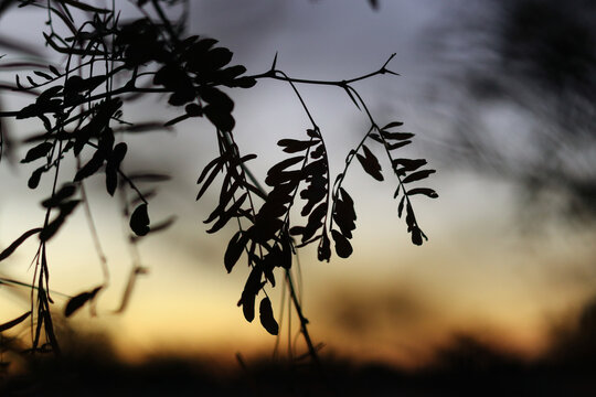 Brazos River at Cameron Park, Texas - Powered by Adobe