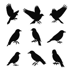 Abstract vector illustration of a global world map showing continents like Asia, Europe, and America for business and travel geography