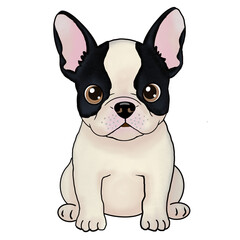 French bulldog