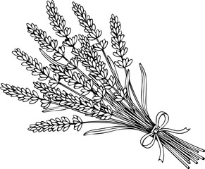 Elegant hand-drawn lavender bouquet with delicate ribbon offers a touch of natural beauty and rustic charm for your designs. © Artesian Edge