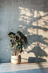 Fototapeta premium Large luxury modern bright interiors Living room mockup illustration 3D rendering image