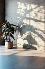 Fototapeta premium Large luxury modern bright interiors Living room mockup illustration 3D rendering image