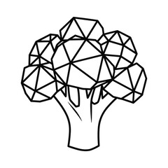 Stylized geometric line art illustration of a fresh broccoli head with a white background
