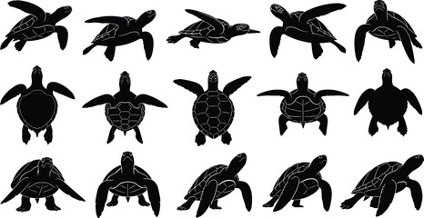 Sea turtle silhouettes, black vector icons, marine animal shapes, ocean wildlife graphics, top view, side view, front view illustrations
