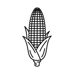 Simple hand drawn outline illustration of a corn cob with leaves
