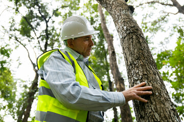 Environmental engineer examining tree for carbon impact study