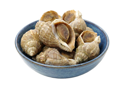 Bol de bulots frais pr&ecirc;ts &agrave; d&eacute;guster