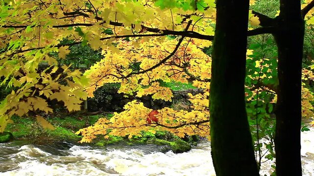 MVI_7768