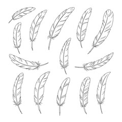 A collection of delicately sketched feathers in various orientations