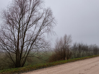 empty country road in snowless winter. Rural Latvian landscape in early December.