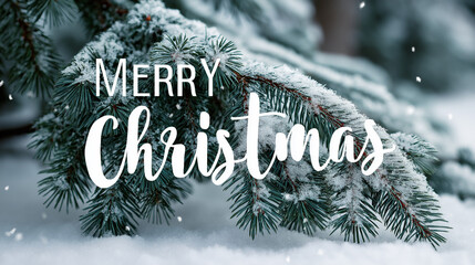  merry christmas card, merry christmas lettering, christmas greeting card, christmas greeting card with holly, snow covered pine tree