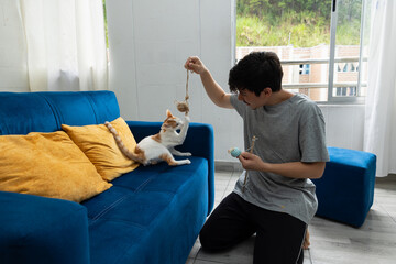 Man interacting with his cat on the sofa using a toy in his living room. A relaxed and warm moment between pet and owner