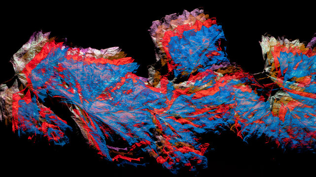 Hojas de parra secas, fotografia m&uacute;ltiple de cuatro fotos de distintos colores, azul, rojo, amarillo y verde con fondo oscuro 