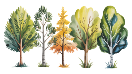 Watercolor trees create a natural and peaceful vibe, perfect for adding a touch of nature to your design projects or educational resources for children