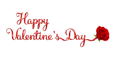 Elegant happy valentines day message with a red rose on a Transparent background