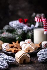 Christmas cookie and snowman marshmallow